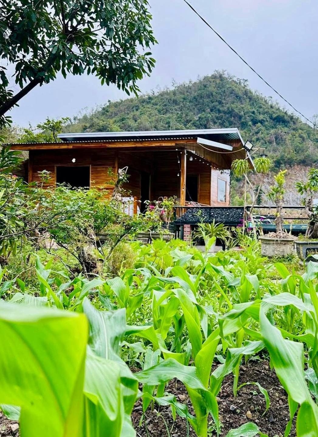 Cat Ba Love House Xuan Dam ภายนอก รูปภาพ