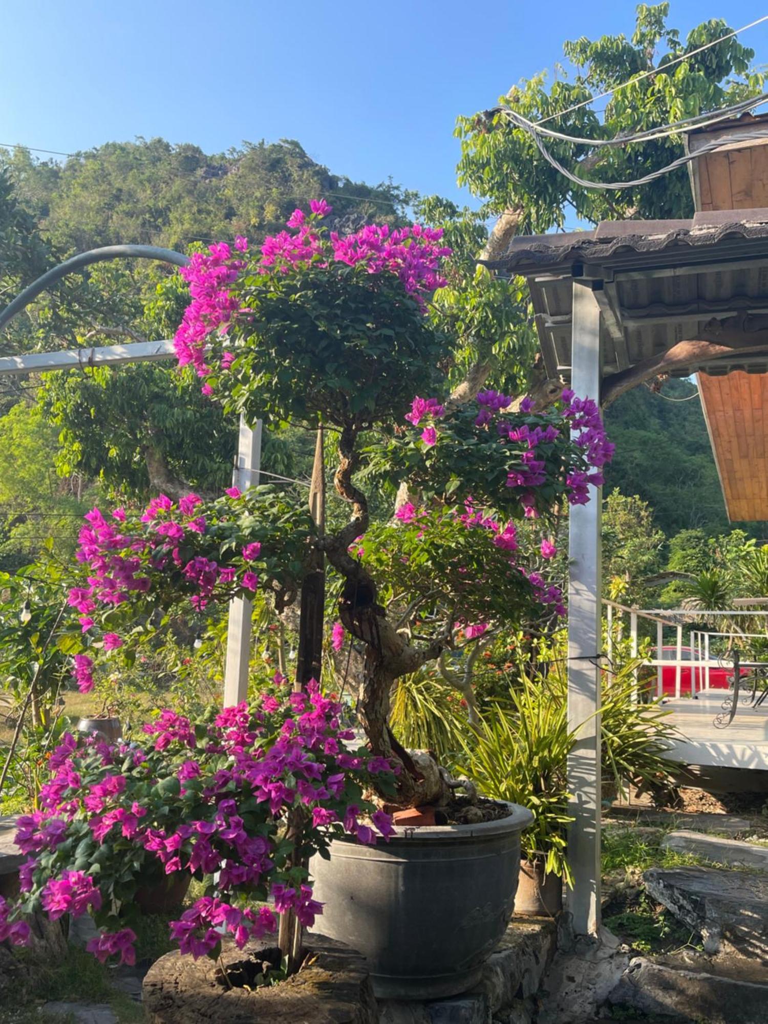 Cat Ba Love House Xuan Dam ภายนอก รูปภาพ
